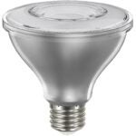 Sylvania 40915 Natural LED Bulb, Flood/Spotlight, PAR30 Lamp, E26 Lamp Base, Dimmable, Clear, Daylight