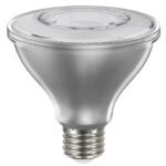 Sylvania 40917 Natural LED Bulb, Flood/Spotlight, PAR30 Lamp, E26 Lamp Base, Dimmable, Clear, Daylight