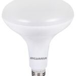 BULB LED BR40 FLOOD SFTWHT 12W