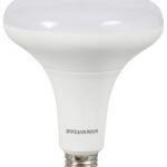 BULB LED BR40 FLOOD DAYLT 12W