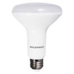 BULB LED BR30 DAYLIGHT 65W