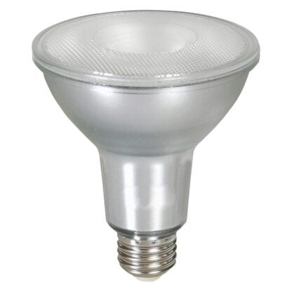 BULB LED LN PAR30 5000K 75W