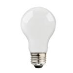 BULB LED A19 BRIGHT WHITE 40W