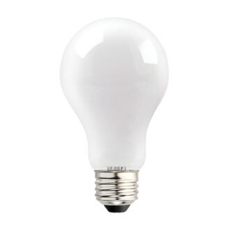 BULB LED A19 BRIGHT WHITE 100W