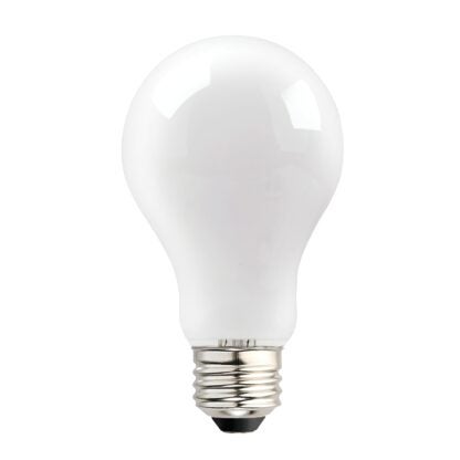 BULB LED A19 BRIGHT WHITE 100W