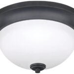 Canarm New Yorker Series IFM256A13ORB Flush Mount Ceiling Fixture, 120 V, 120 W, 2-Lamp, Type A Lamp, Steel Fixture