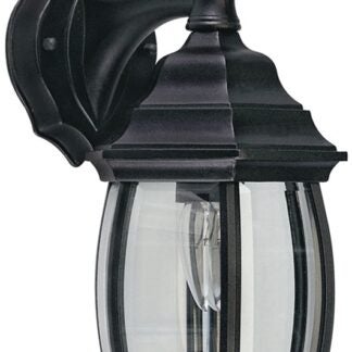 Canarm IOL1210 Outdoor Lantern, 120 V, 100 W, Aluminum Fixture, Black Fixture