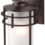 Canarm IOL199ORB Outdoor Light, Oil-Rubbed Bronze Fixture