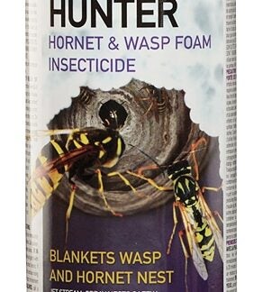 Superior 202 Wasp and Hornet Killer, Foam, Spray Application, 400 g Sells in Quantity of 12