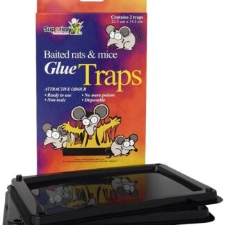 Superior 12402 Glue Trap, 5 in W