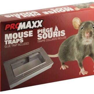 Superior T-50 Mouse Trap, 1/PK