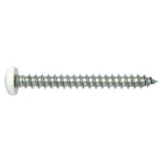 Reliable PKASW834S5 Screw, #8-15 Thread, 3/4 in L, Pan Head, Square Drive, Self-Tapping, Type A Point, Stainless Steel, 500/BAG