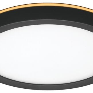 ETI LowPro Series 56568115 Ceiling Light with Nightlight, 120 V, 12 W, Integrated LED Lamp, 800 Lumens, Black Fixture