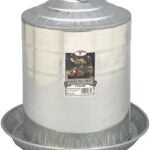 Little Giant 9835 Poultry Fount, 5 gal Capacity, Galvanized Steel, Floor, Ground Mounting