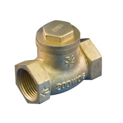 aqua-dynamic 1191-003 Swing Check Valve, 1/2 in, Threaded, 200 psi Pressure, Brass Body