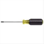 Klein Tools TORX T30 Screwdriver with 4