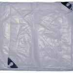 Toolway Tarpaulin, 30' x 50', Polyethylene, Clear 183053