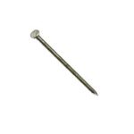 Tree Island 1CAA0 Smooth Spike Nail, 10