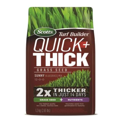 Scotts | Turf Builder Quick + Thick Grass Seeds - Sunny Bluegrass Mix - 12-0-0 - 1.2 Kg