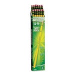 Dixon Ticonderoga Woodcase Pencil #2 HB Yellow 12-Count