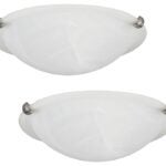 Canarm IFM161251T Ceiling Light Fixture, 110 V, 2-Lamp, Brushed Pewter Fixture