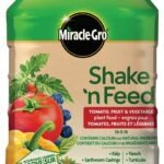 Miracle-Gro Shake 'n Feed 2671306 Tomato/Fruit and Vegetable Plant Food, 453 g, Solid, 10-5-15 N-P-K Ratio