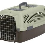 Aspenpet Pet Taxi 21088 Fashion Pet Porter, 23 in W, 15.2 in D, 11.84 in H, M, Plastic, Black/Dark Pink