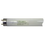 Sylvania 22434 Fluorescent Bulb, 32 W, T8 Lamp, Medium Bi-Pin Lamp Base, 2450 Lumens, 4100 K Color Temp