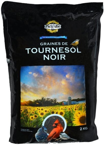 Mon Copain My Buddy 36102 Wild Bird Seed, 2 kg Sells in Quantity of 5