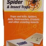 Terro T3206CAN Spider and Insect Trap, Liquid, Light Yellow