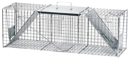 Havahart 1045 Large Animal Trap, 36 in L, 10 in W, 12 in H, Spring Loaded Door