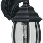 Canarm IOL1210 Outdoor Lantern, 120 V, 100 W, Aluminum Fixture, Black Fixture