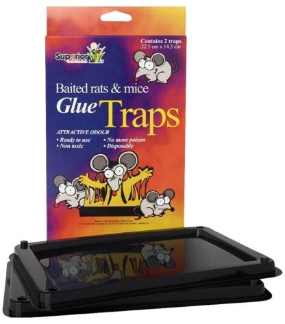 Superior 12402 Glue Trap, 5 in W