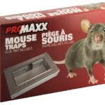 Superior T-50 Mouse Trap, 1/PK