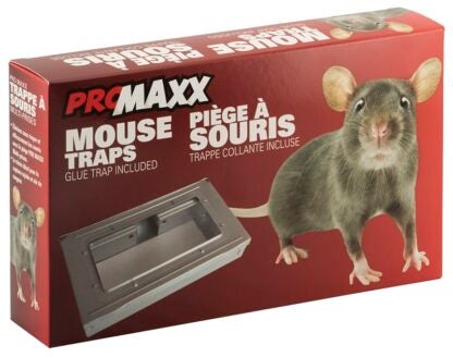 Superior T-50 Mouse Trap, 1/PK