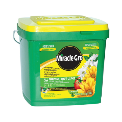 Miracle-Gro 2756910 All-Purpose Plant Food, 3.3 lb, Solid, 24-8-16 N-P-K Ratio